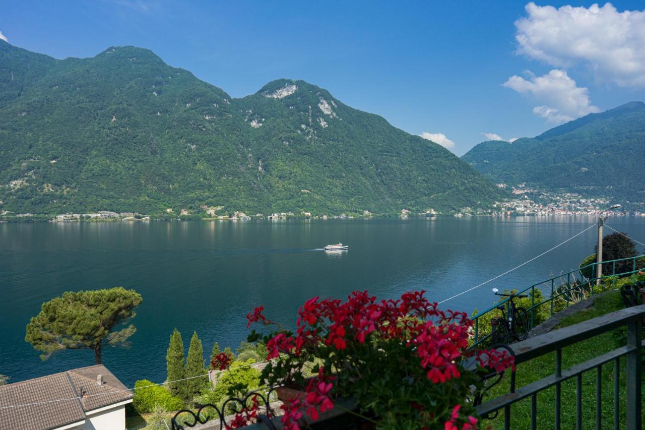 Apartament Balcone Dei Limoni Nesso Zewnętrze zdjęcie