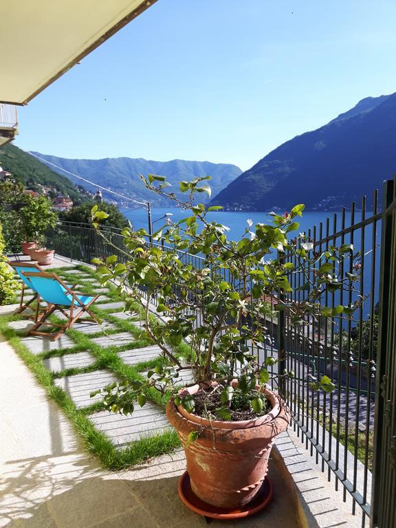 Apartament Balcone Dei Limoni Nesso Zewnętrze zdjęcie